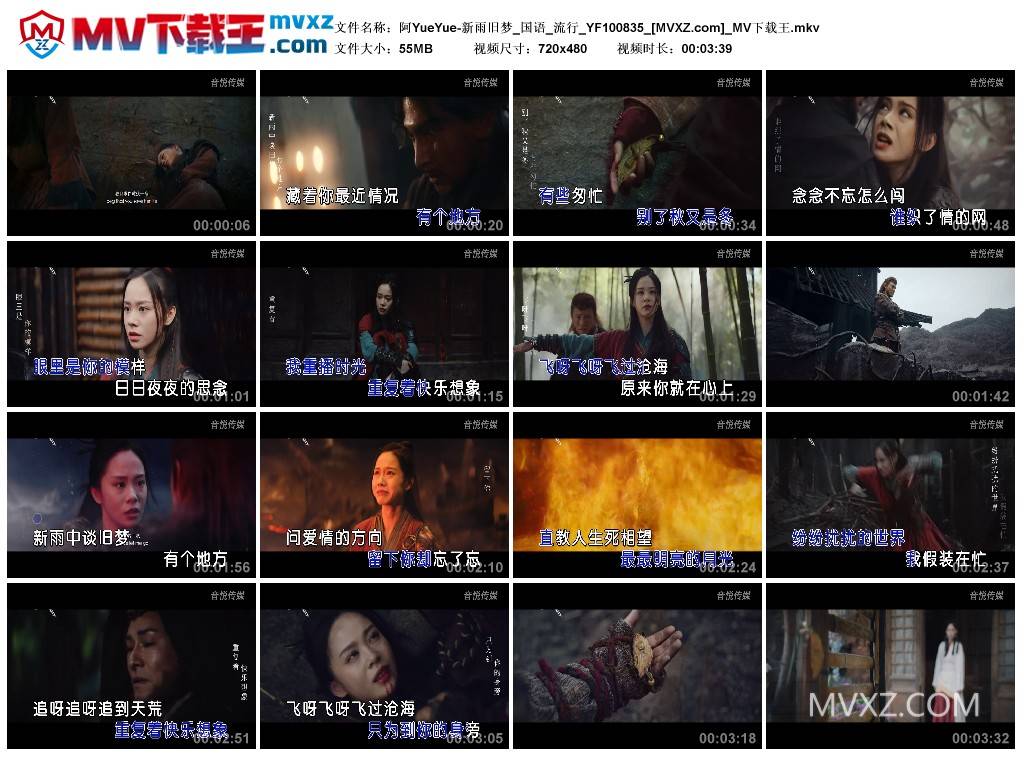 阿YueYue-新雨旧梦_国语_流行_YF100835